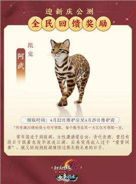 风卷残云版天龙八部私服